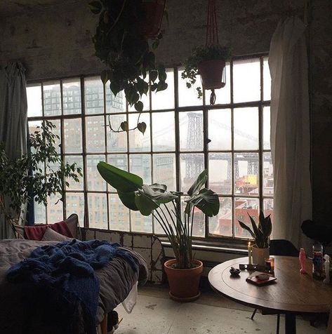 Retro Apartment, Lots Of Plants, Day Room, Dream Apartment, Diy Interior, House Room, Dream Spaces, Room Aesthetic, My New Room