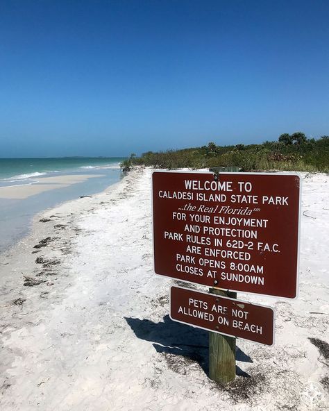 Caladesi Island Florida, Caladesi Island, Caladesi Island State Park, Europe Travel Packing, Summer Florida, Vacation 2024, Honeymoon Island, Dream Trips, Tampa Bay Area