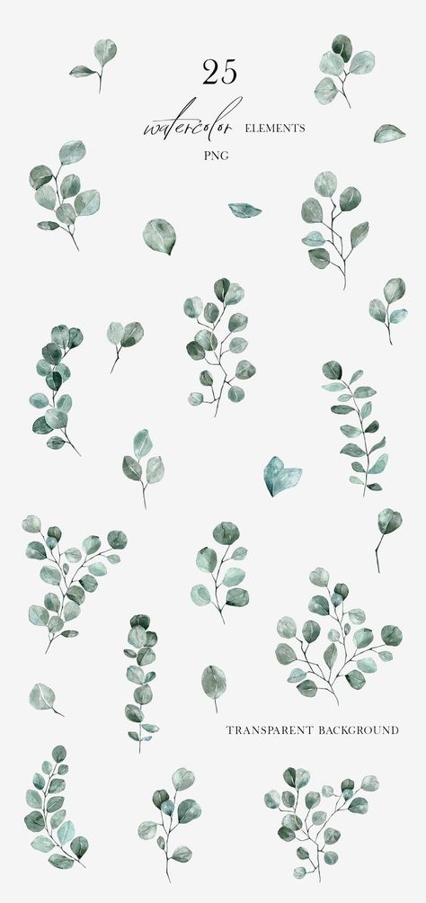 Cricut Wedding Invitations, Illustrated Wedding Invitations, Leaf Invitations, Greenery Invitation, Foliage Leaves, Wedding Invitations Leaves, Minimal Wedding Invitation, Card Png, Eucalyptus Wedding Invitation