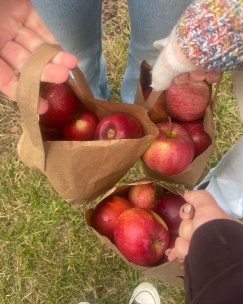 Apple Orchard Fall Aesthetic, Apple Picking Date, Apple Picking Photoshoot, Apple Orchard Photoshoot, Vibes With Friends, Ber Months, Fall Girl, Fall Activity, Fruit Picking