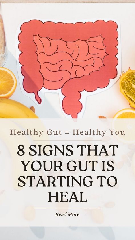 Discover the 8 signs that show your gut is healing! Feel better and live healthier with these positive indicators. 🌿💚 #GutHealth #WellnessJourney Bad Bacteria In Gut, Healing Your Gut And Hormones, Bad Gut Health Signs, Heal The Gut Naturally, Foods That Are Good For Your Gut, Stomach Healing Foods, How To Heal Gut, Healing Gut Health, Hormonal Eating