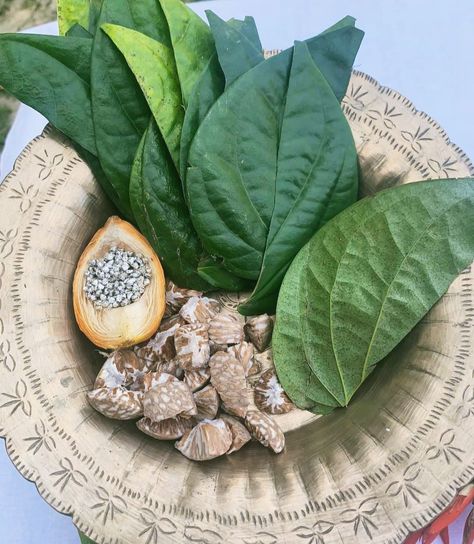 Betel Leaves(Paan) and Areca nuts(Tamul).Traditionally Assamese Assam Aesthetic, Assam Food, Assamese Aesthetic, Assamese Food, Assamese Culture, Areca Nut, Variety Food, South Asian Aesthetic, Indian Street Food Recipes