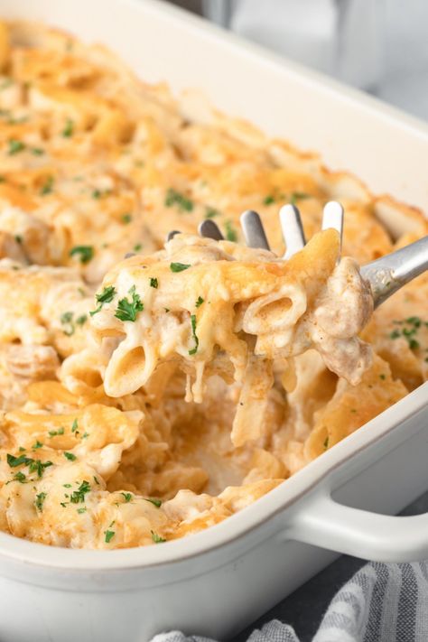 Creamy Chicken Casserole Noodles, Chicken And Noodles Casserole Recipes, Casseroles For Big Families, Oven Baked Chicken Casserole, Boneless Chicken Casserole Recipes, Dinner Recipes Make Ahead, Chicken Pasta With Cream Of Chicken Soup, Easy Recipes With Noodles, Casaroles Recipes For Dinner