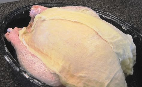 cheesecloth butter roasted turkey | Leave a Reply Cancel reply Martha Stewart Cheesecloth Turkey, Turkey With Cheesecloth Martha Stewart, Martha Stewart Turkey Recipe Cheesecloth, Turkey Wrapped In Cheese Cloth, Cheesecloth Turkey, Butter Roasted Turkey, Roasting A Turkey, Thanksgiving 2022, Martha Stewart Recipes