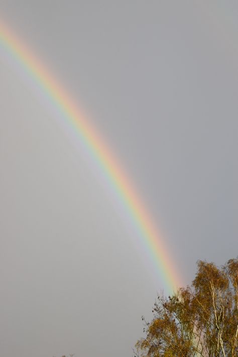 #rain #rainbow #rainyday #rainbowcore #colour #colourful #aesthetic #aesthetictumblr #aestheticwallpaper #film #filmphotography #photography #photooftheday #photo #photoshoot #nature #photographer #travel #travelgram #travelphoto #fall #autumn #autumncolors #autumnmood #autumnstyle Colourful Aesthetic, Fall Rainbow, Photographer Travel, Nature Photographer, Rainy Days, Fall Autumn, Film Photography, Travel Photos, Fall Colors