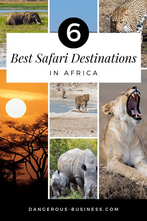 Travelling Africa, Unique Destinations, Africa Itinerary, Safari Vacation, Chobe National Park, Africa Trip, Africa Travel Guide, Tanzania Travel, Wildlife Travel