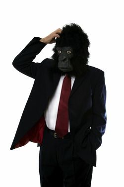 Gorilla Costume, Pun Costumes, Gorilla Suit, Gorilla Costumes, Gorilla Mask, Mask Man, Perfect Halloween Costume, Company Culture, Costume Mask