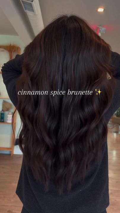 Cinnamon Spice Brunette, Dark Cherry Chocolate Hair, Burgundy Brown Hair, Warm Brown Hair Color, Dark Burgundy Hair, Braids Color, Fit School, Hair Color Pictures, Cinnamon Hair