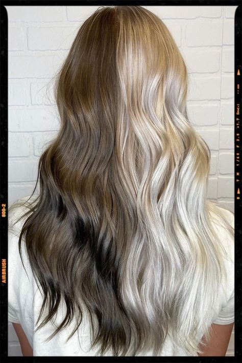 Half black and half white hair. Half Blonde And Half Brown Hair, Light Brown And Silver Hair, Half Brown Half White Hair, Split Blonde And Brown Hair, Hair Color Ideas Half And Half, Half Dark Half Light Hair, Half Brunette Half Blonde Hair, Natural Split Dye Hair, Half White Half Black Hair