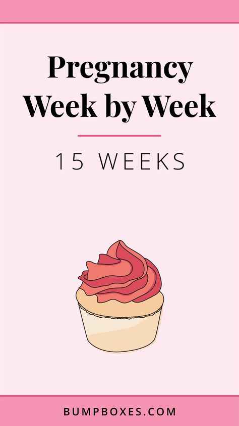 15 Weeks Pregnant Bump, 15 Week Baby Bump, 28 Weeks Pregnant Belly, 4 Months Pregnant Belly, 15 Weeks Pregnant Belly, Pregnant Ultrasound, Bump Box, Pregnant Bump, 5 Weeks Pregnant