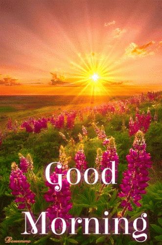 Good Morning GIF - Good Morning Goodmorning - Discover & Share GIFs Hemant Kumar, Bonjour Gif, Good Morning Gif Images, Very Good Morning Images, Good Morning Wishes Gif, Good Morning Thursday, Good Morning Greeting Cards, Flowers Artwork, Good Morning Beautiful Gif