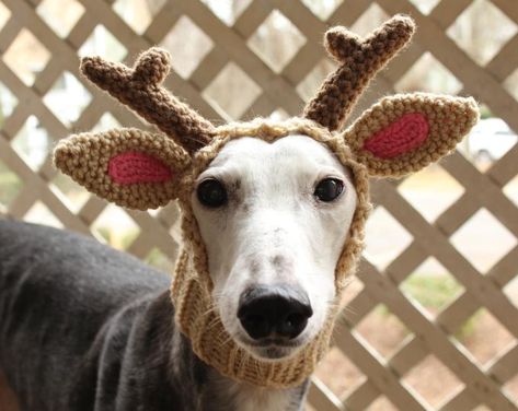 Dog Balaclava, Dog Hat Pattern, Snood For Dogs, Cute Dog Halloween Costumes, Horse Head Wreath, Cat Teepee, Teddy Bear Shop, Knitted Teddy Bear, Crochet Lion