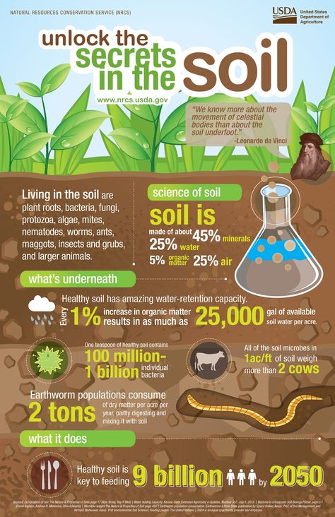 6 Fabulous Infographics about Soil Health [INFOGRAPHIC] Soil Poster Ideas, Causes Of Soil Pollution, Soil Pollution Images For Project, Soil Pollution Poster Drawing, Soil Pollution Poster, Soil Pollution Drawing, Save Soil Posters, Land Pollution Poster, Soil Conservation Poster Ideas