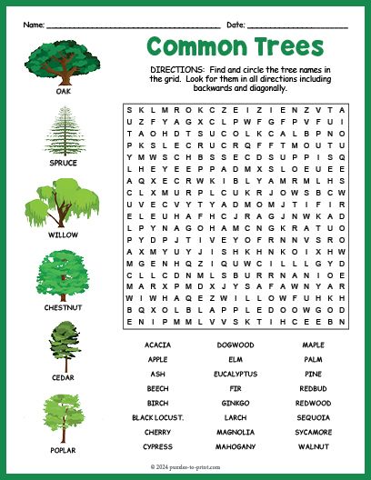 Free Printable Trees Word Search Nature Worksheets, Magic Squares Math, Tree Names, Fun Word Search, Word Search Puzzles Printables, Puzzle Worksheet, Free Printable Word Searches, Free Printable Puzzles, Scramble Words