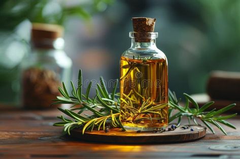 Rosemary oil bottle with fresh leaves on wooden table, depicting natural herbal aromatherapy royalty free stock photography Vector Poster, Rosemary Oil, Stock Photography Free, Oil Bottle, Wooden Table, Wooden Tables, Thyme, Rosemary, Aromatherapy