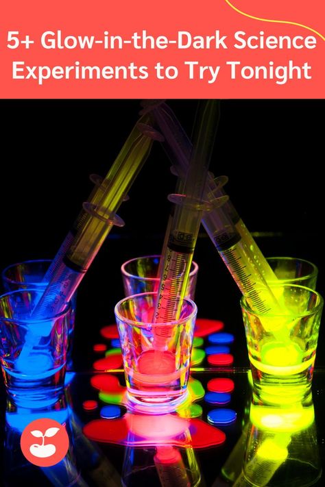 Glow-in-the-Dark Science Experiments Glow In The Dark Stem Activities, Glow Activities, Light Science Experiments, Oil And Water Experiment, Dark Science, Kids Science Experiments, Scuba Vbs, Grandma Camp, Light Science