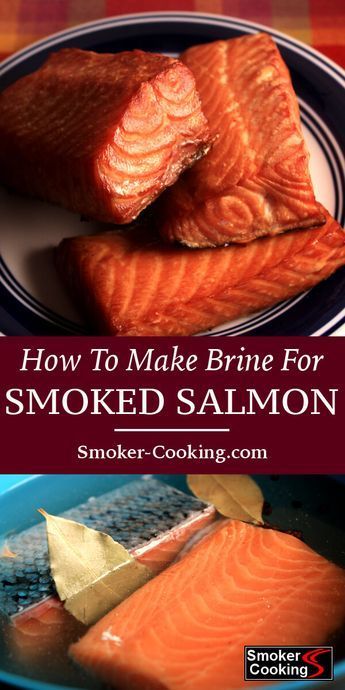 Salmon Smoker, Smoked Salmon Brine, Cooking Scallops, Smoked Fish Recipe, Basic Brine, Garlic Butter Salmon, Smoked Salmon Recipes, Brine Recipe, Smoker Cooking