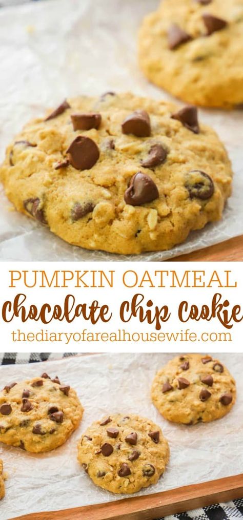 Pumpkin Oat Cookies, Oatmeal Chocolate Cookies, Pumpkin Oatmeal Chocolate Chip, Pumpkin Oatmeal Chocolate Chip Cookies, Oatmeal Chocolate Chip Cookie, Pumpkin Oatmeal Cookies, Pumpkin Oats, Pumpkin Cookie Recipe, Pumpkin Chocolate Chip Cookies