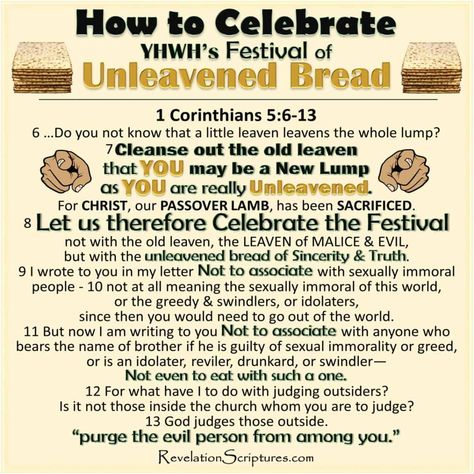 Shabbat Prayers, Unleavened Bread Recipe, Seder Dinner, Biblical Holidays, Passover Feast, Feast Of Unleavened Bread, Quick View Bible, Jewish Feasts, Passover Lamb