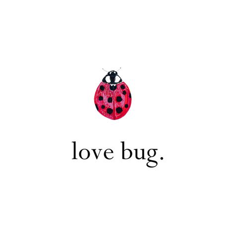 love bug Alpha Sig Words Love, A Ladybug, Love Bug, Happy Words, Love Bugs, Pics Art, Hopeless Romantic, A Train, Pretty Words