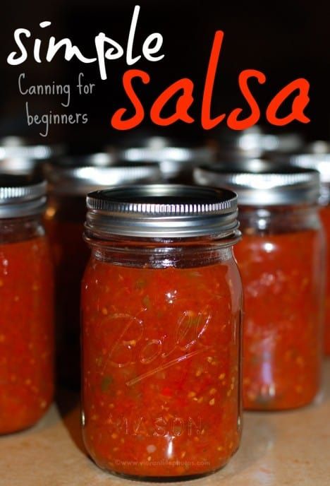 DIY Salsa Canning for Beginners: Use Up Ripe Tomatoes - Venture1105 Diy Salsa, Canning Instructions, Canning For Beginners, Canned Salsa, Simple Salsa, Canned Salsa Recipes, Salsa Canning Recipes, Easy Canning, Ball Canning Jars