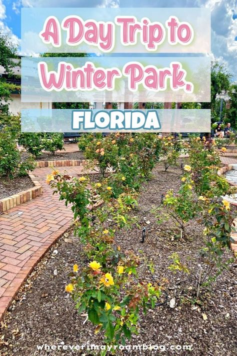 Winter Park Florida Things To Do, Orlando Neighborhoods, What To Do In Florida, Winter Park Orlando, Weekend Market, Winter Resort, Winter Park Florida, Florida Orlando, Shopping Food