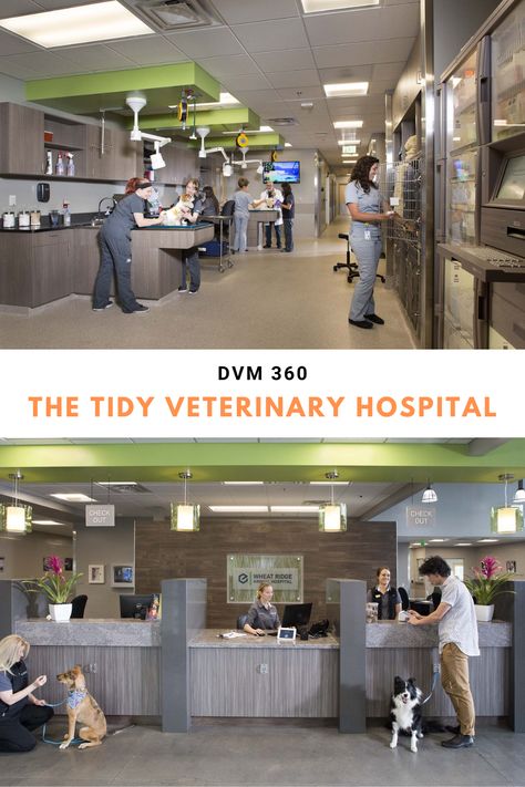 The Tidy Veterinary Hospital - Animal Arts Design #animalartsarch #animalartsdesignstudios #veterinaryhospitaldesign #veterinarymedicine #WheatRidgeAnimalHospital #dvm360 Vet Clinic Reception Area, Euthanasia Room Vet Clinic, Vet Clinic Organization, Veterinary Organization, Vet Clinic Design, Veterinary Clinic Design, Animal Hospital Design, Veterinary Hospital Design, Hospital Quotes