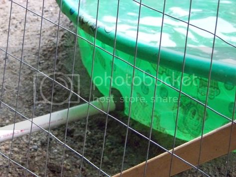 How to keep the duck house dry? | Page 2 | BackYard Chickens - Learn How to Raise Chickens Geese Pen Ideas, Duck Pond Drain, Easy Drain Duck Pond, Duck Pool Ideas With Drain, Duck Pond With Drain, Duck Pool With Drain, Duck Pool Ideas, Duck Pond Ideas, Duck Ponds