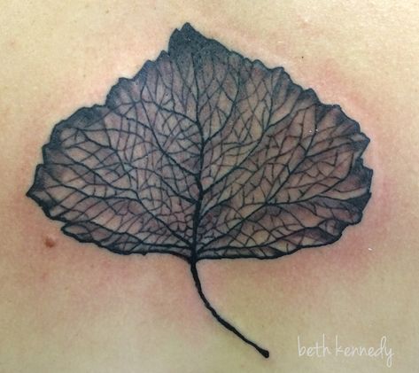 Cottonwood Leaf, Botanical Tattoos, Lace Leaf, Leaf Tattoo, C Tattoo, Scott Campbell, Botanical Tattoo, Tree Tattoo, Brooklyn New York