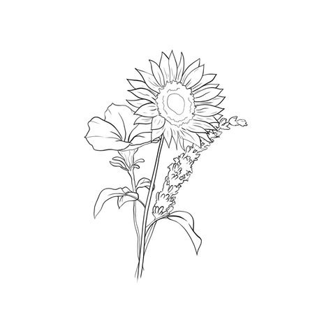 Sunflower And Lily Tattoo Small, Orchid Sunflower Tattoo, Sunflower Lilac Tattoo, Sunflower And Lavender Drawing, Sunflower And Lilac Tattoo, Orchid And Sunflower Tattoo, Sunflower Bunch Tattoo, Sunflower Lavender Tattoo, Sunflower And Lavender Tattoo