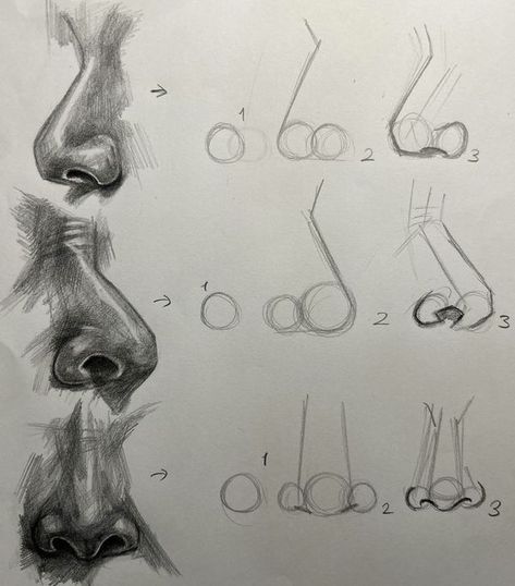 Drawing Ideas Nose, Easy Nose Drawing, Easy Nose Drawings, Sketchbook Anatomy, Nose Study, Nose Drawing Tutorial, Easy Nose, Sketch Nose, Drawing Noses