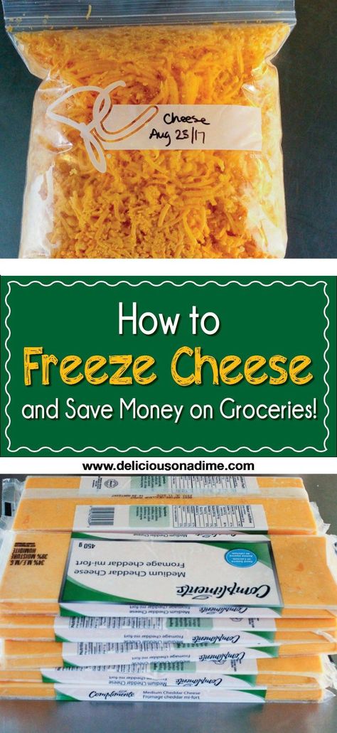 . Freezing Cheese, Freeze Cheese, Freezing Food Guide, Freezing Vegetables, Way To Save Money, Freezer Meal Prep, Money Saving Meals, Cooking On A Budget, Freezer Cooking