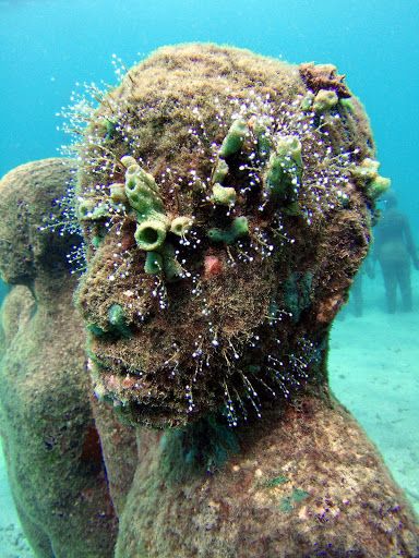 underwater sculpture, 6 months later, Grenada. by Jason deCaires Taylor Jason Decaires Taylor, Underwater Museum, Underwater Sculpture, Under The Ocean, Mystical Places, Underwater Art, Wild Beauty, Travel Plan, Beautiful Places On Earth