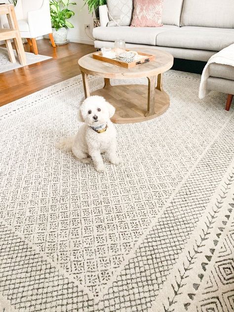 When decorating your room, you may be wondering what color rug goes with a beige couch. The neutrality of beige means it can go with light or dark col... | Fill Your Floor with Farmhouse Fresh Fashion Rugs For Beige Couch, Living Room Diy Decor, Taupe Couch, Beige Couch Living Room, Cream Couch, Light Gray Couch, Rug Boutique, Living Room Makeover Ideas, White Lounge Chair