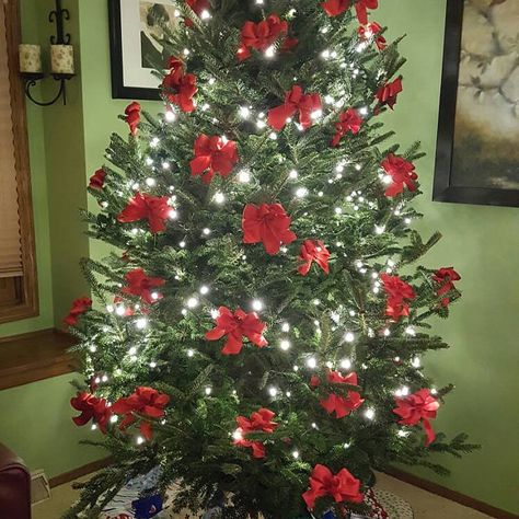 Kathy McKendry added a photo of their purchase Red Bow Christmas Tree, Bows Christmas Tree, Bow Ornaments, Red Bow Christmas, Small Christmas Trees Decorated, Bow Tree Topper, Bow Tree, Bow Christmas Tree, Tree Bows