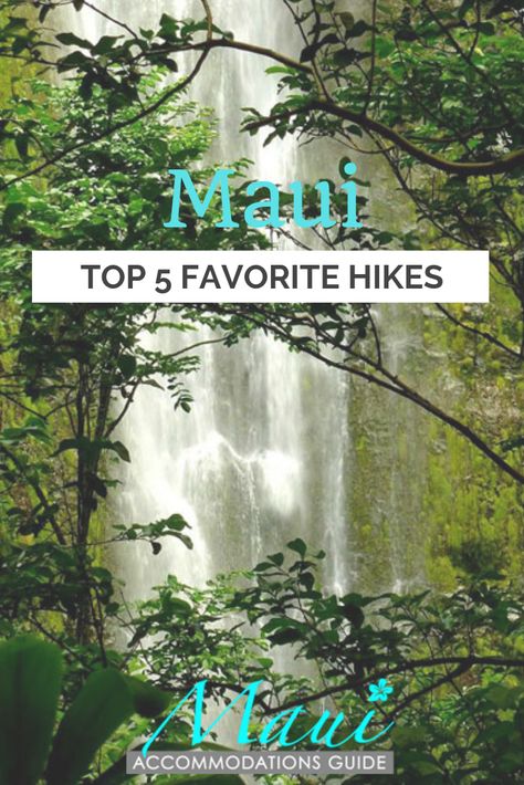 Travel Maui Hawaii, Best Hikes In Maui Hawaii, Best Maui Hikes, Maui Hikes Waterfalls, Camping In Hawaii, Hiking In Maui, Maui Waterfalls, Maui Hikes, Hikes In Maui