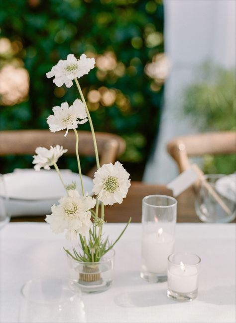 Al fresco organic and rustic wedding with white details || Callista & Co, Gather Design Company, The Ganeys #weddingreception #fineartwedding #whitewedding Long Tables, Beach Village, Bainbridge Island, Beautiful Evening, Wedding Mood Board, Seattle Wedding, Wedding Mood, Table Flowers, Wedding Weekend