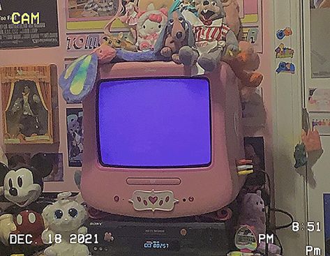 Pink Nerd Aesthetic, Sleepover Nostalgia, Princess Tv, Y2k Core, 2000s Core, Aesthetic Tv, Vhs Collection, Nerd Aesthetic, Pink Core