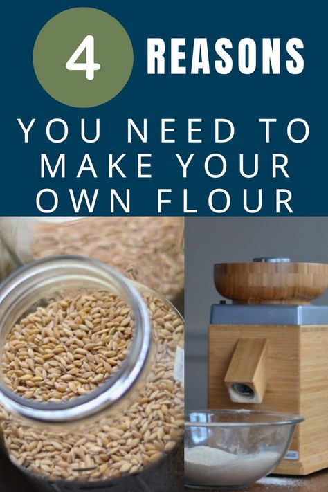 grain mill and wheat berries, home flour mill. text reads: 4 reasons you need to make your own flour Make Your Own Flour, Creative Cookie Recipes, Mill Flour, Make Flour, Wheat Flour Recipes, How To Make Flour, Whole Grain Flour, Grain Mill, Flour Mill