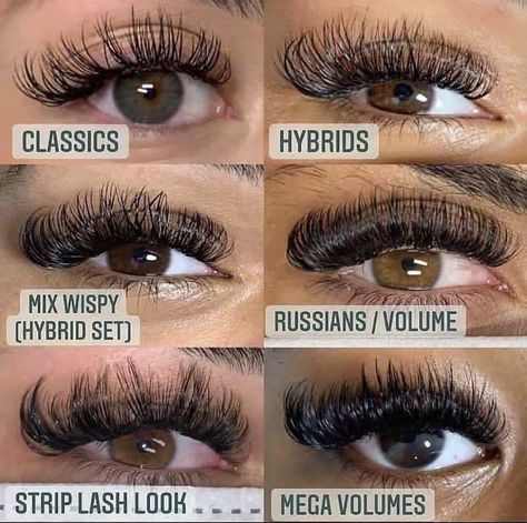 Eye Styles, Types Of Eyelash Extensions, Natural Fake Eyelashes, Individual Lash Extensions, Lashes Fake Eyelashes, Russian Volume Lashes, Russian Lashes, Eyelash Tips, Eyelash Technician