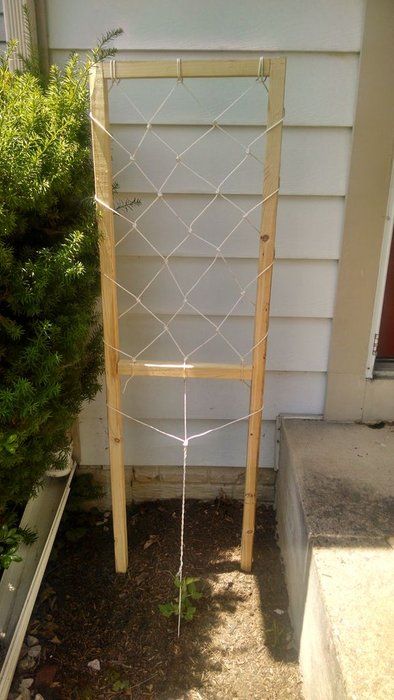 Macrame Trellis, Trellis Gardening, Garden Trellis Designs, Backyard Garden Patio, Diy Trellis Ideas, Creative Gardens, Dream Backyard Garden, Diy Garden Trellis, Design Backyard