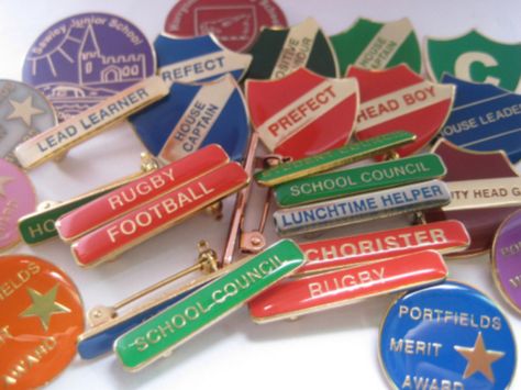 school pin badge School Jacket, Custom Lapel Pins, School Badges, Jacket Pins, Vision Boards, 2024 Vision, Good Grades, Private School, Tech Design