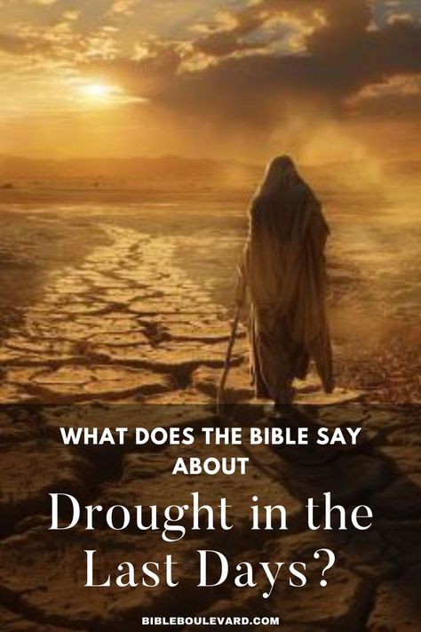 What Does the Bible Say About Drought in the Last Days? Last Days Bible, In The Last Days, The End Times, Study Notebook, Best Bible Verses, Bible Says, End Times, Bible Study Notebook, Last Days