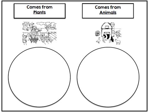 Where Does It Come From Food Sort Where Food Comes From Activities, Healthy Food Activities, Kindergarten Vocabulary, Daycare Lesson Plans, Science Food, Kindergarten Projects, Food Vocabulary, French Activities, Food Activities