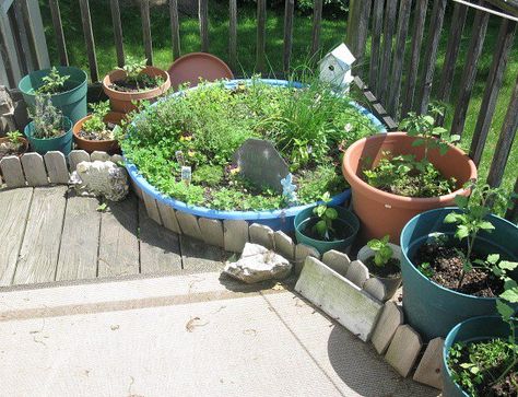 An old Kiddie pool used for an herb garden on a deck Kiddie Pool Garden, Eco Activism, Deck Gardening, Backyard Hosting, Kiddy Pool, Pool Plants, Texas Garden, Gardening Backyard, Gardening Vegetables