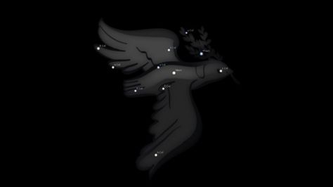 Columba Constellation Columba Constellation, Astrology Pisces, 2 Am, The Dove, Horoscope Gemini, 10 Pm, 3 Pm, 4 Pm, Good Fortune