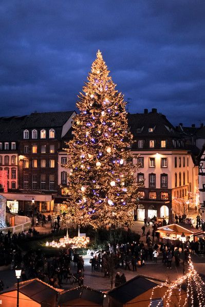 STRASBOURG, FRANCE :  #1 Best Christmas Market in Europe 2014, www.europeanbestdestinations.org/christmas-markets Christmas Strasbourg, Strasburg France, Strasbourg Christmas, France Christmas, Box Architecture, European Christmas, Christmas Destinations, Christmas In Europe, Best Christmas Markets