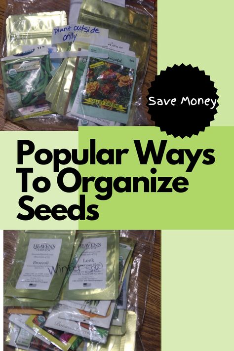 Popular Ways to Save Money by Organizing Seeds Before Spring - ouredencultivated.com Organizing Seed Packets, Save Seeds From Produce, Seed Saving Storage, Coneflower Seed Saving, How To Save Seeds For Next Year, Organize Seeds, Garden Planing, Seed Storage, Garden Organization