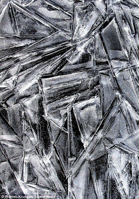 Smash: Shattered glass? Leaf Vector, Frozen Ice, Natural Structures, Art Premier, Texture Inspiration, Ice Crystals, Shattered Glass, Frozen In Time, A Level Art