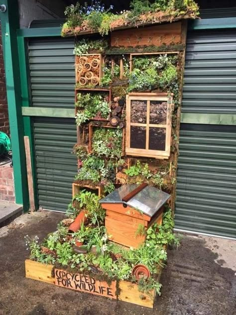 Look at this! 😍 Vertical gardens are wonderful for wildlife and a great idea if you have a yard instead of a garden. 🌱  Made by the RHS level 2 group from Askham Bryan College York, it won 1st prize in the category of vertical gardens. 🏆 Gardener Aesthetic, Garden Aesthetics, Side Patio, Wallpaper Garden, Bee Stuff, Landscape Garden Design, Gardening Aesthetic, Bee Hotel, Allotment Gardening